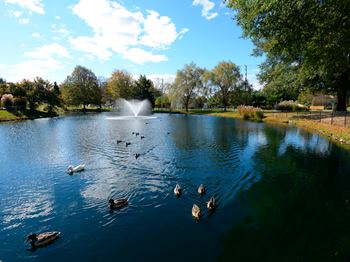 Beautiful Landscape with Lovely Wooded Views and Duck Pond at Woodsdale Apartments, Maryland, 21009